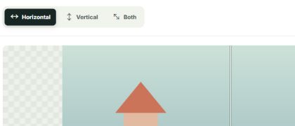 Image flipper controls for choosing horizontal, vertical, or both directions.