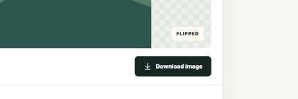 Image flipper before-and-after preview with the download action.